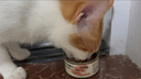 皇家搭档猫罐头猫零食鸡肉丝鱼油蔓越莓金枪鱼丝三种口味混合85g*6罐 实拍图