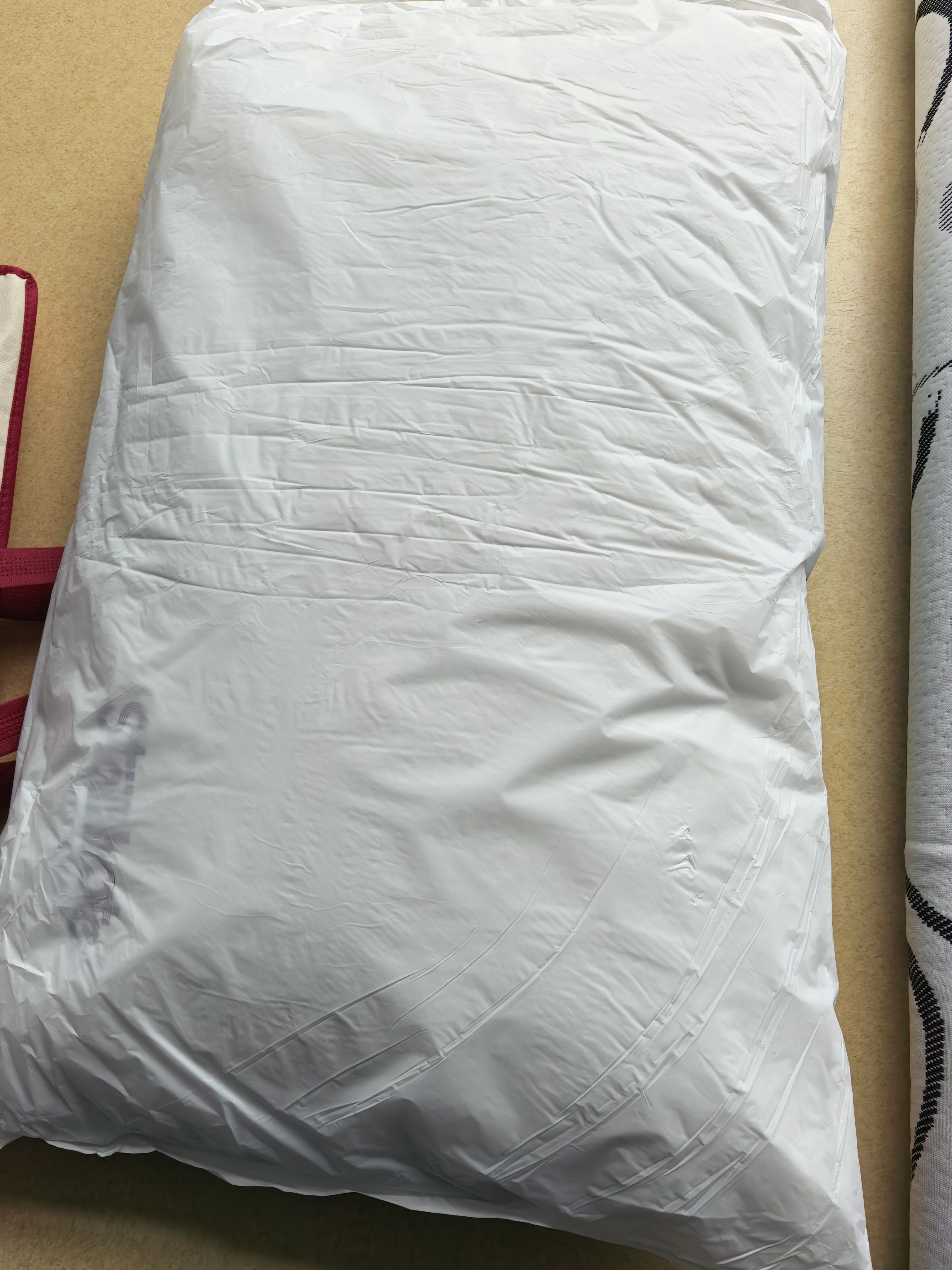 洁丽雅A类枕头新疆棉面料颈椎枕成人睡觉专用枕芯可水洗男女枕芯护颈枕 白色【新疆棉面料】 48*74cm【中枕一对】 实拍图
