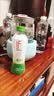 if【肖战推荐】100%纯椰子水果汁饮料泰国进口 350ml*12瓶自营 实拍图