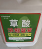 可其氏高浓度草酸清洁剂10桶 厕所瓷砖清洁剂开荒保洁去水泥去污洁厕液 实拍图