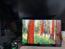 雕塑家14英寸便携式显示器4K OLED屏100%DCI-P3高色域 手机电脑笔记本副屏Ps5一线直连扩展屏MU140LH 实拍图