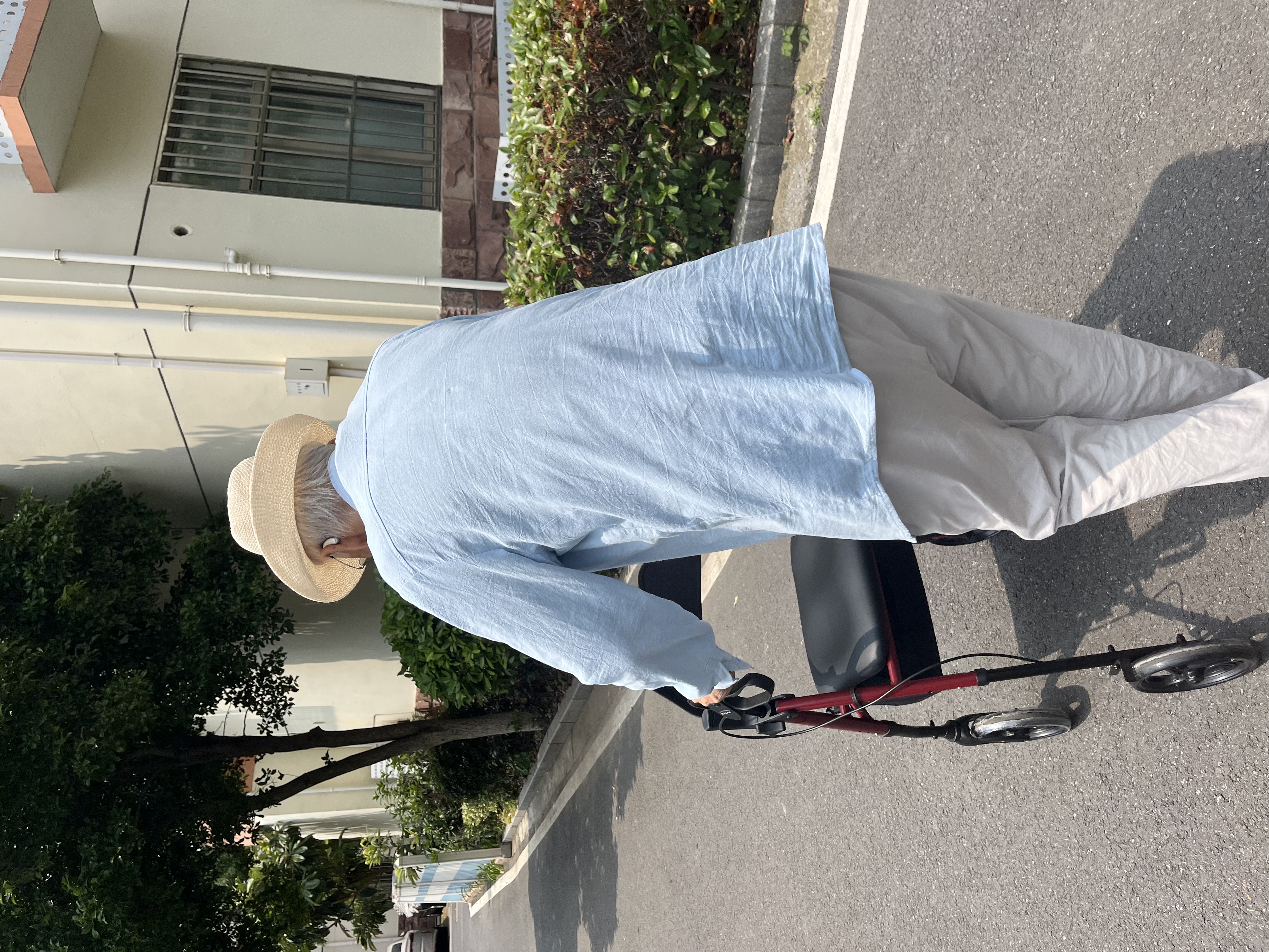 迈德斯特助行车出行康复辅助老人专用代步公园遛弯Z21 实拍图