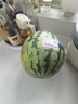 【产地直采】河北老树皇冠梨4粒 约1.2kg 实拍图