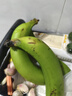 高山精品甜蕉现摘新鲜水果香蕉孕妇宝宝辅食搭配丫丫生鲜特产 1斤装【青蕉发货】 实拍图