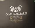 CANIS FAMILIARIS布多格法国原瓶进口红酒 骑士干红葡萄酒750ml*6支整箱装送礼礼盒 实拍图