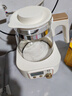 小白熊全玻璃恒温水壶调奶器婴儿电热水壶烧水壶冲奶1.2L 5025随机发货 实拍图