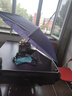 【全网爆款】手动UV折叠雨伞男女晴雨伞两用防晒遮阳黑胶伞 【新人福利】7骨 纯色随机无黑胶 实拍图