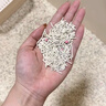 城市理享樱花白茶豆腐膨润土木薯混合猫砂2.5kg*4 除臭低尘瞬吸结团不粘底 实拍图
