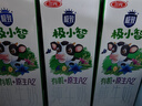 三元极致A2β-酪蛋白儿童有机纯牛奶200ml*10 整箱礼盒【丁禹兮同款】 实拍图