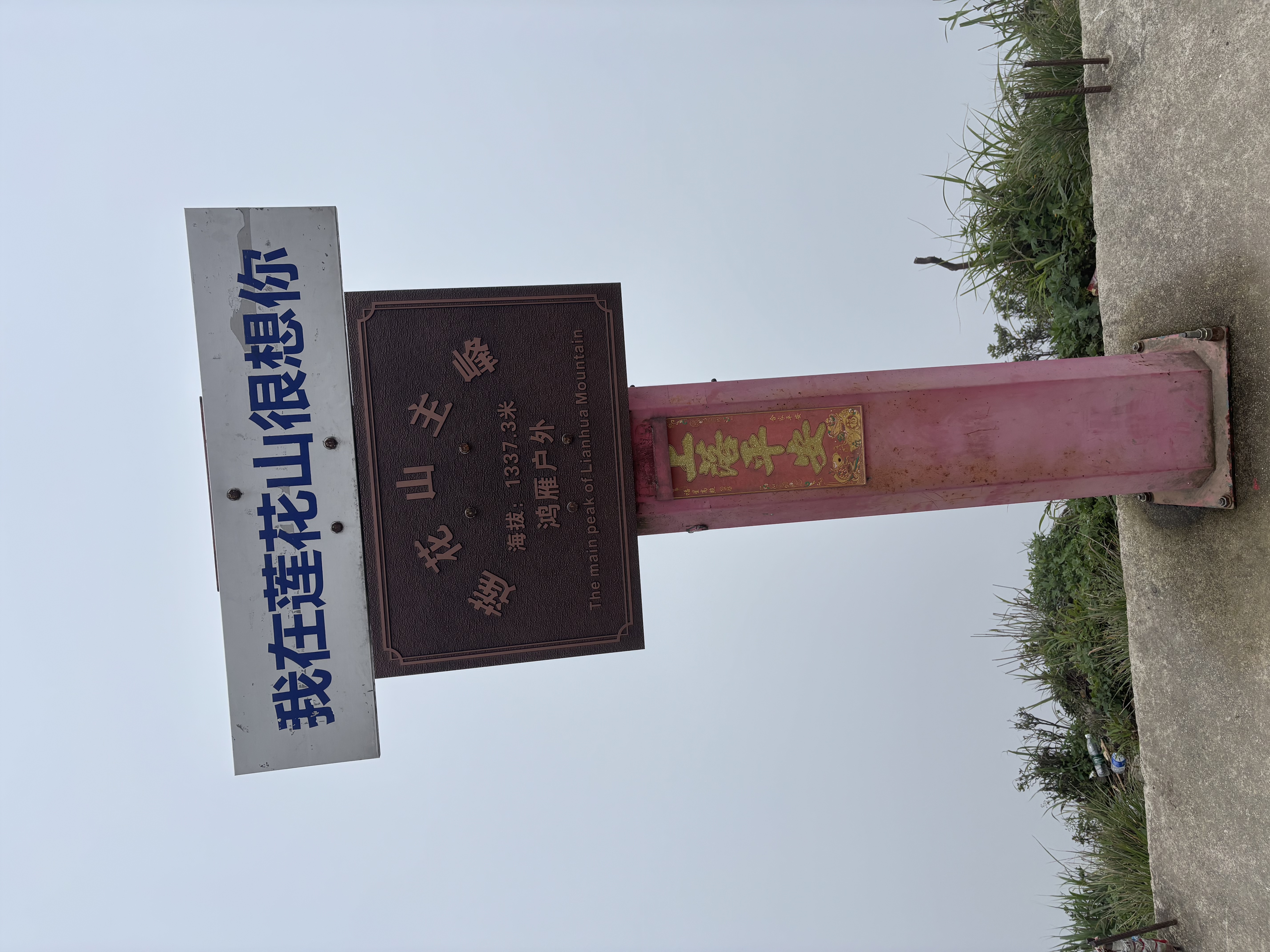 轻功跑步短裤健将同款小绿裤灵波微步PRO款三分训练马拉松短速干裤子 【男款】青柠绿 L 实拍图