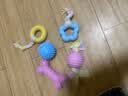 HELLOJOY狗狗玩具球小狗磨牙棒骨头耐咬狗咬胶小型犬宠物用品幼犬自嗨解闷 实拍图