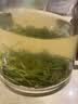 乐品乐茶明前特级毛尖绿茶2026新茶嫩芽春茶茶叶礼盒装250g端午父亲节礼物 实拍图