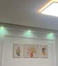 猫九酱奶油风客厅装饰画简约现代小清新花卉三联画高级感沙发背景墙挂画 实拍图