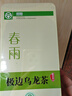 极边 春雨罐装云南高山茶乌龙茶绿色食品小袋装茶叶送礼256g 实拍图