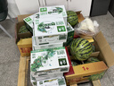 雅迪60V20Ah【国标接口】铅酸充电器原装适用60V3A电摩电瓶车电池通用京东自营最新款 实拍图