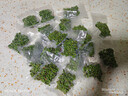 达派（dapai）德国真空封口机家用商用干湿两用全自动抽真空包装真空食品保鲜机塑封机抽腊肉真空封口 店长推荐【干湿两用】下单享袋子 实拍图