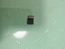 闪迪（SanDisk）1TB TF(MicroSD)内存卡4K极速金卡A2 V30 U3兼容大疆Pocket3/4P/Action 6运动相机/无人机存储卡 实拍图