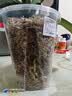 德沃多控根透明花盆10口径*3个园养花多肉塑料盆透水透气控根设计 实拍图