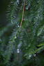 尼康（Nikon）Z30双镜头套装16-50mm+50-250mm 江苏广东上海吉林广西地址85折 微单套机 轻巧便携 自拍模式 实拍图