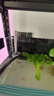 森森（SUNSUN）鱼缸过滤器壁挂式外置过滤泵水族箱过滤器HBL HBL-302 3W 实拍图