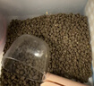 纯福酶解鸡肉泰迪柯基比熊博美幼犬成犬粮冻干小型犬通用型狗粮囤货装 小型犬犬粮7.5kg【5包囤货装】 实拍图