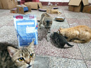 麦富迪猫粮 超肉粒冻干双拼幼猫粮免疫护肠胃 三文鱼2kg 实拍图