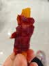 耐威克宠物狗狗零食泰迪幼犬成犬训狗奖励鸡肉干原切鸡肉丝100g*4包 实拍图