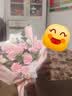 植伴康乃馨百合鲜花生日祝福探望病人母亲节鲜花速递送妈妈全国同城店 I款-11朵康玫瑰混搭 实拍图
