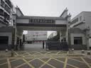 榄菊免拆蚊香14圈盒装 强力型蚊香盘基孔肯雅热便携家用免手拆盘香 实拍图