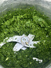 大海边 碎菜机碎草机家用不锈钢饲料喂鸡鸭鹅养殖粉碎机多功能打菜机 【304不锈钢-0卡机】6刀涡轮传动+4500W铜芯-可碎玉米 实拍图