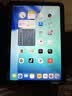 Apple/苹果 iPad mini (A17 Pro) 8.3英寸 平板电脑(128G WLAN版/mini7/MXN63CH/A)深空灰色 实拍图