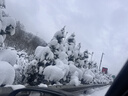 莱尔诗丹（Larsd）加长角阀 铜主体加厚冷热水快开三角阀 4分八字阀 止水阀 LD10207 实拍图