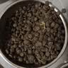 BOTH成犬粮 宠物狗粮 鸭肉乳鸽益生菌 试吃装50g*4包 实拍图