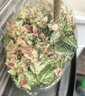 海蒂的花园花叶络石四季常绿好养观叶垂吊植物阳台室内绿植盆栽源头直发包邮 花叶络石14cm 含盆 实拍图