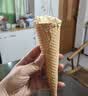 慧员（hopeone）香草冰淇淋粉1kg*20包/箱装甜筒雪糕奶球冷饮自制雪糕批发商用 实拍图