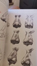 经典全集《全解人体结构》艺术用解剖学工具书籍素描美术绘画入门教程肌肉运动造型形体手绘技法笔记图集教材 实拍图
