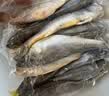 三都港 冷冻海捕小黄鱼700g 24-29条 黄花鱼 深海鱼 生鲜 鱼类 烧烤食材 实拍图