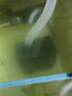 彻朗静音水泵鱼缸潜水泵循环泵底吸泵海水缸小型家用过滤抽水泵8w 实拍图