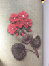 韩风花草绣：花、树、果实的立体刺绣 实拍图