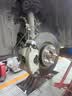 倍耐力四季胎235/60R18 107V 蝎子S-VEas(LR1/LR)原配路虎神行2 实拍图