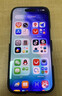 Apple/苹果  iPhone 17 256GB 黑色 支持移动联通电信5G 双卡双待手机 MG6W4CH/A*企业专享 实拍图
