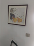 紫腾随轩齐白石装饰画新中式客厅背景墙面挂画卧室饭厅餐厅水墨虾壁画实木 葫芦 50*50cm（有机玻璃）（默认红木色框） 实拍图