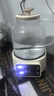 SPOEUR苏泊尔平替全玻璃养生壶0胶水1.5L纯玻璃多功能恒温烧水壶煮水壶办公室轻音炖煮茶壶 1.5L 0胶水 预约保温 实拍图