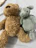 Jellycat笨笨小熊动物毛绒玩偶泰迪动物毛绒玩偶公仔送礼生日新婚礼物 笨笨小熊 Small 实拍图