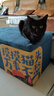 阿柴与猫猫抓板耐抓耐磨不掉屑猫咪攀爬垫贴立式墙贴防猫抓沙发保护贴自粘 实拍图