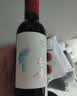 西鸽酒庄玉鸽小瓶干红女士葡萄酒整箱187ml*6 贺兰山东麓宁夏红酒微醺聚会 实拍图