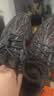 阿迪达斯 Yeezy350暴龙兽椰子透气男女时尚休闲鞋GW3774 40 实拍图