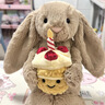 Jellycat害羞乳白色邦尼兔动物毛绒玩偶安抚玩偶娃娃送礼生日礼物 害羞乳白色邦尼兔 Small 实拍图