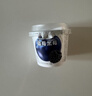 卡士（CLASSY.KISS）【全程冷链】蓝莓黑莓果粒鲜酪乳100g*6杯 低温酸奶 风味发酵乳 实拍图
