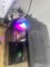微星（MSI） i5 12400F/14400F/RTX3060/4060/5060Ti黑悟空三角洲游戏主机电脑台式机组装电脑主机DIY整机 配置五 i5 12400F丨RTX3050 6G 实拍图